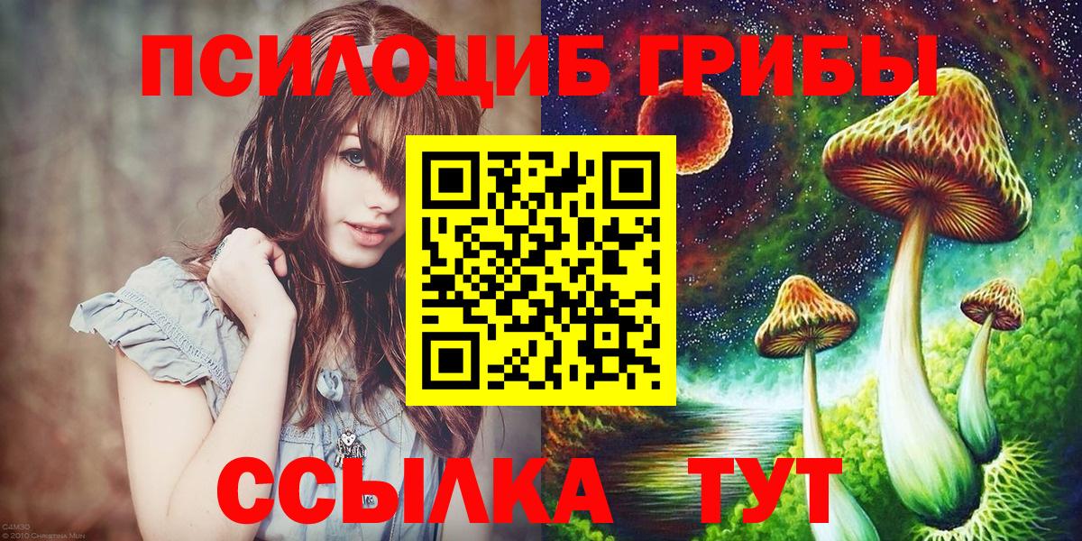 Галлюциногенные грибы Psilocybine cubensis  Вход с VPN  Чистополь 